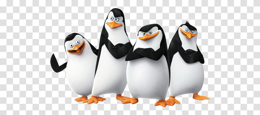 Madagascar Penguins Penguins Of Madagascar, Bird, Animal, King Penguin, Puffin Transparent Png