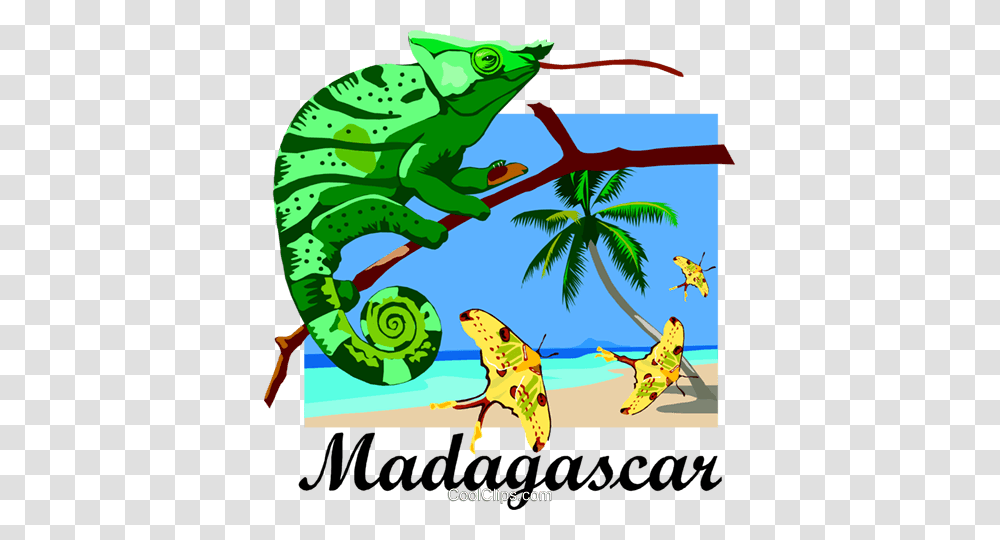 Madagascar Postcard Design Royalty Free Vector Clip Art, Lizard, Reptile, Animal, Iguana Transparent Png
