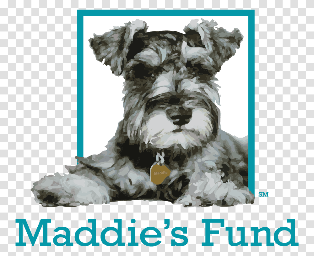 Maddie S Fund Logo Maddies Fund, Chicken, Poultry, Fowl, Bird Transparent Png