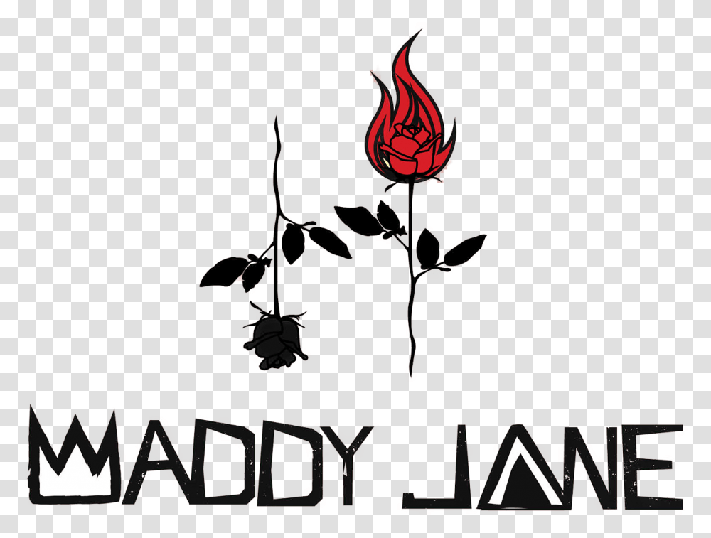 Maddy Jane Garden Roses, Glass Transparent Png