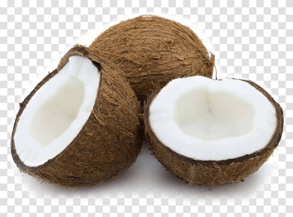 Made From 100 Real Coconuts Coconut Fruits, Plant, Vegetable, Food Transparent Png