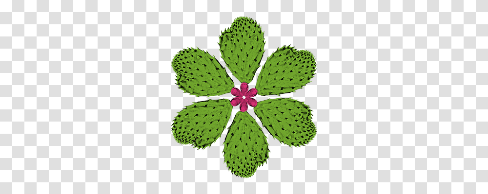 Made In Mexico Traditional Food Duncan Bc Animated Blooming Flowers Gif, Leaf, Plant, Cactus, Tree Transparent Png