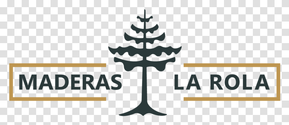 Maderas La Rola, Tree, Plant, Fir Transparent Png