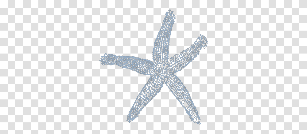 Maehr Blue Starfish Svg Clip Art For Web Download Lovely, Lizard, Reptile, Animal, Sea Life Transparent Png