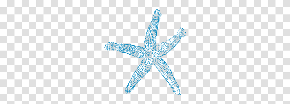 Maehr Green Starfish Clip Art, Sea Life, Animal, Invertebrate, Shark Transparent Png