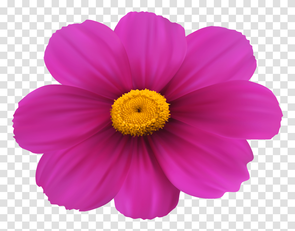 Magenta Flower Clip Art Transparent Png