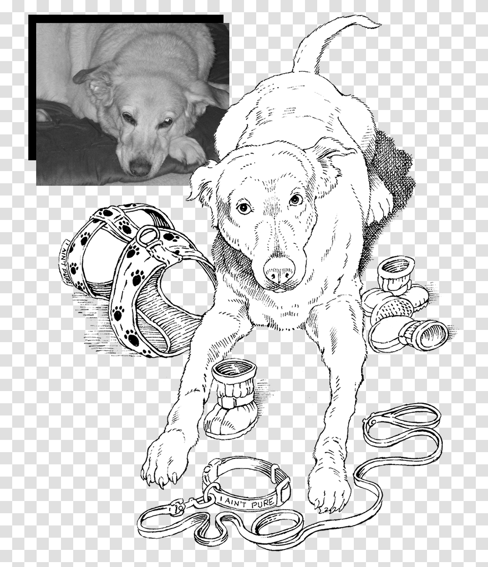 Maggie Collage Line Art, Dog, Pet, Canine, Animal Transparent Png