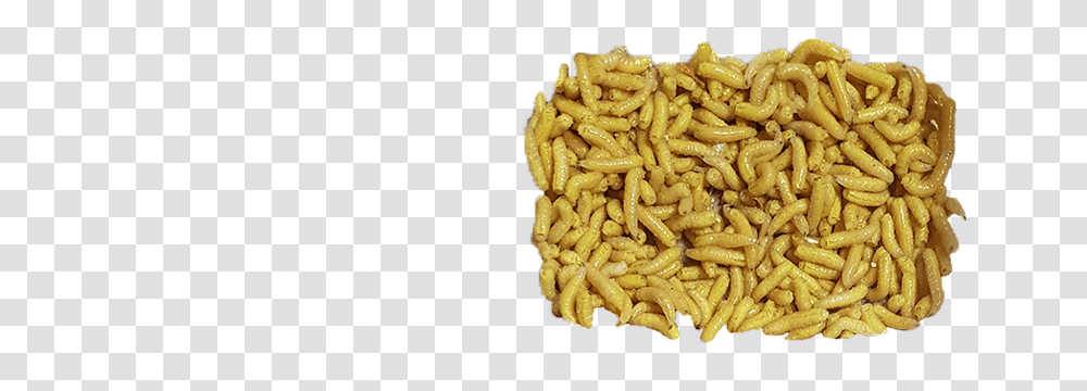 Maggots, Insect, Macaroni, Pasta, Food Transparent Png