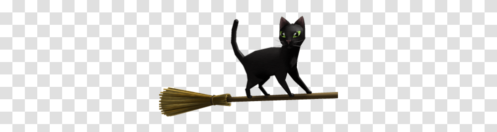 Magic Broom Black Cat Black Cat, Pet, Mammal, Animal Transparent Png