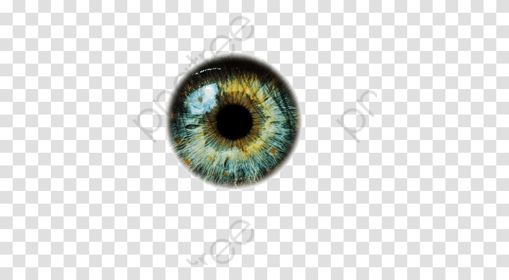 Magic Eyes Clipart Graphic Stock Eyeballs Green Eye Lens, Ornament, Pattern, Fractal, Photography Transparent Png