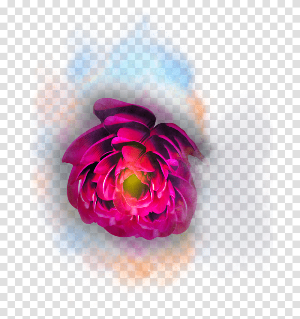 Magic Flower Artificial Flower, Ornament, Pattern, Fractal, Rose Transparent Png