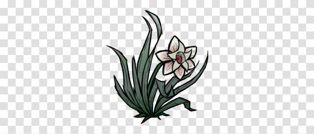 Magic Flower Don't Starve Game Wiki Fandom Orris Root, Plant, Blossom, Graphics, Art Transparent Png