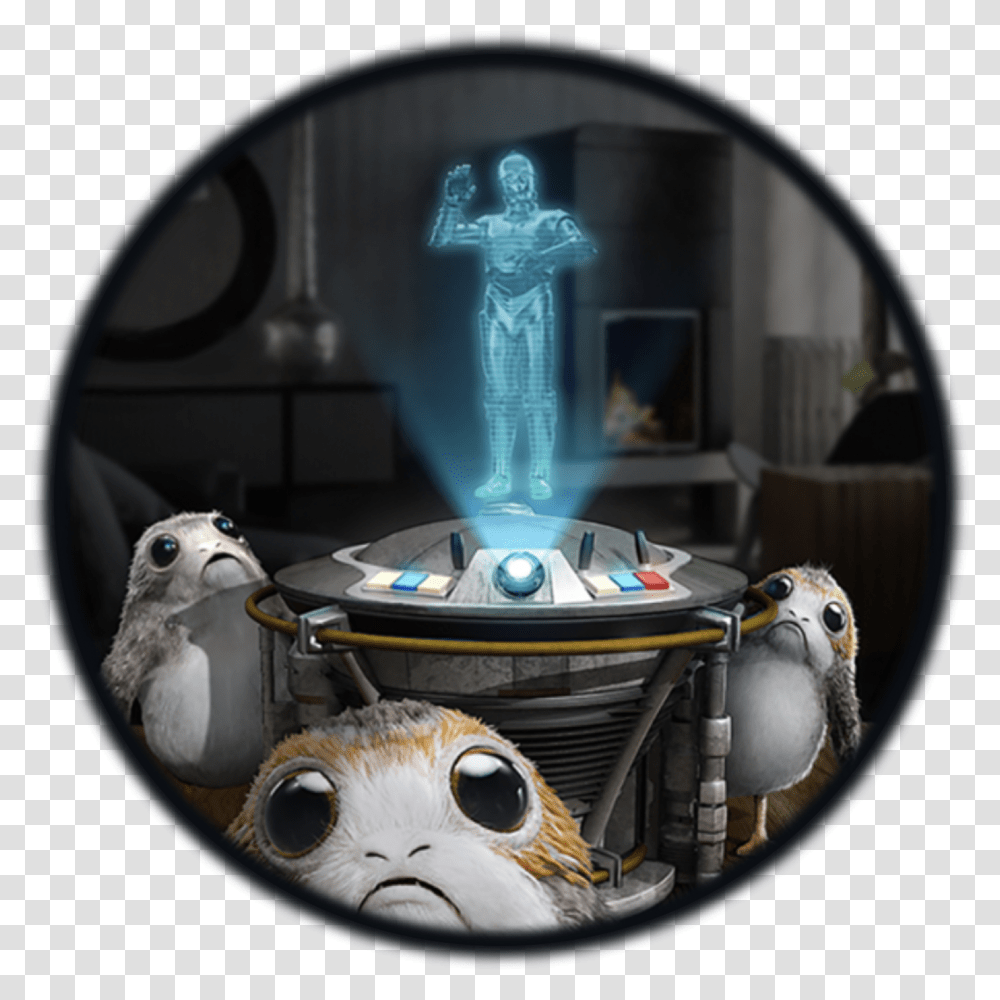 Magic Leap One Creator Edition Project Porg, Bird, Animal, Cat, Sphere Transparent Png