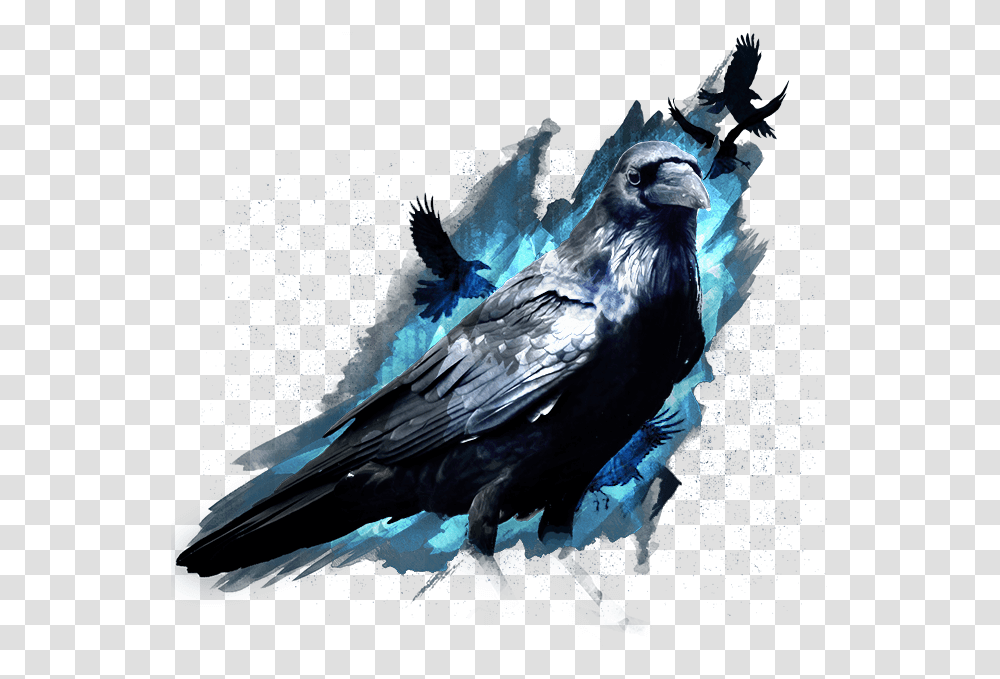 Magical Raven, Bird, Animal, Crow, Blackbird Transparent Png