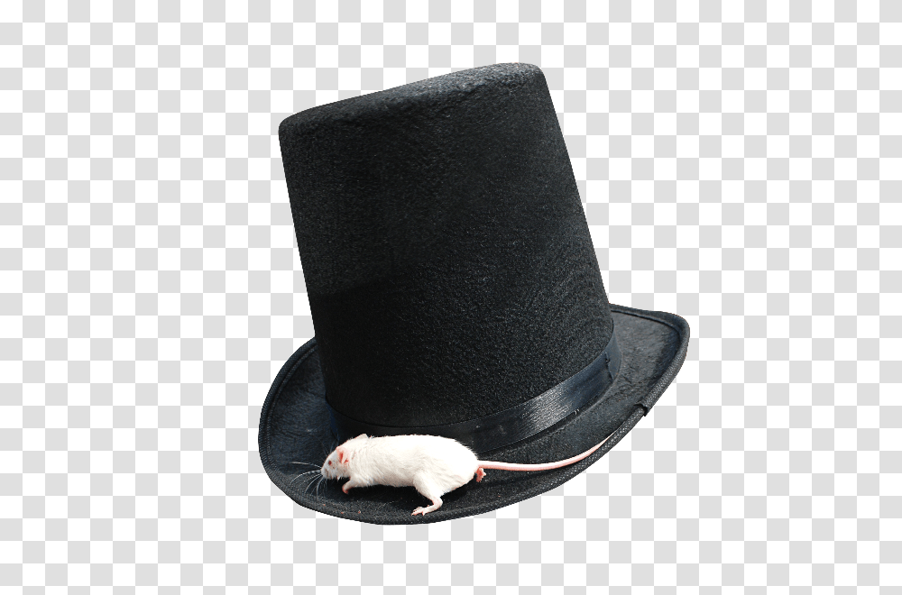 Magician Top Hat With White Mouse, Apparel, Animal, Mammal Transparent Png