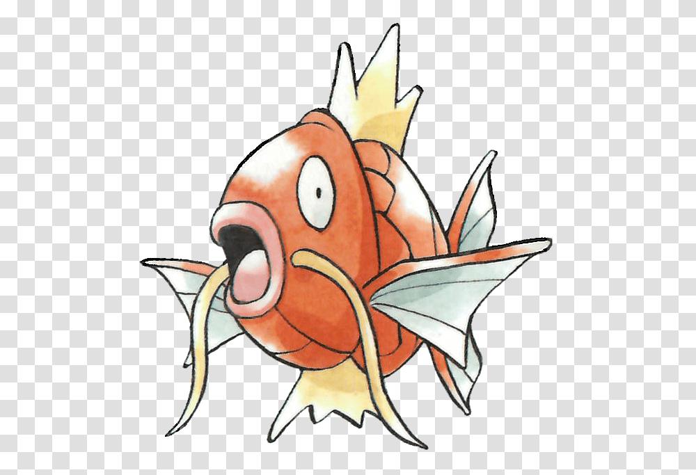 Magikarp, Animal, Painting, Insect Transparent Png