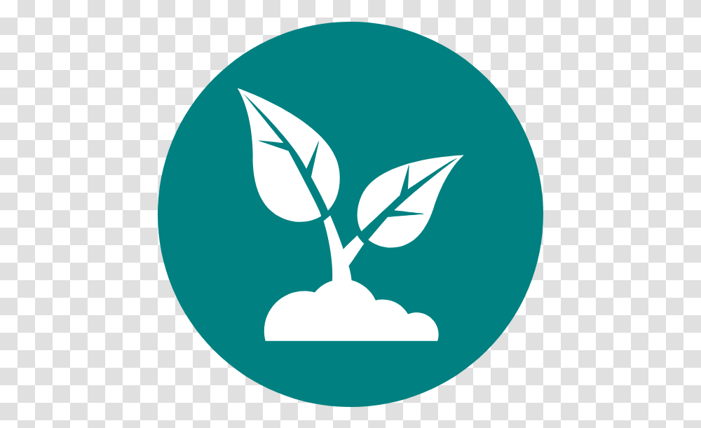Magna Voce Interpreter Education Language, Logo, Symbol, Plant, Emblem Transparent Png