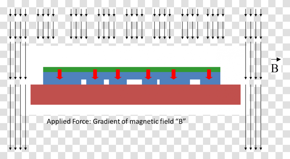 Magnetic Field Assisted Micro Contact Printing, Plot, Number Transparent Png