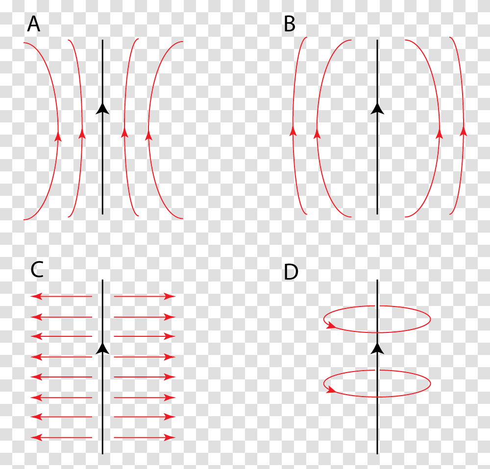 Magnetic Field Lines Straight Wire, Number, Plot Transparent Png