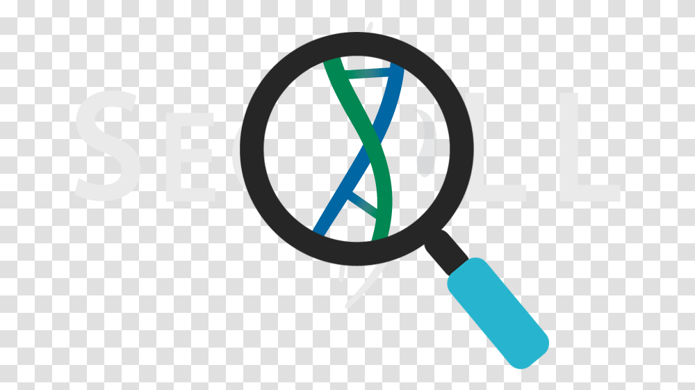 Magnifying Glass Dna Cell Svg Icon Free Download, Alphabet Transparent Png