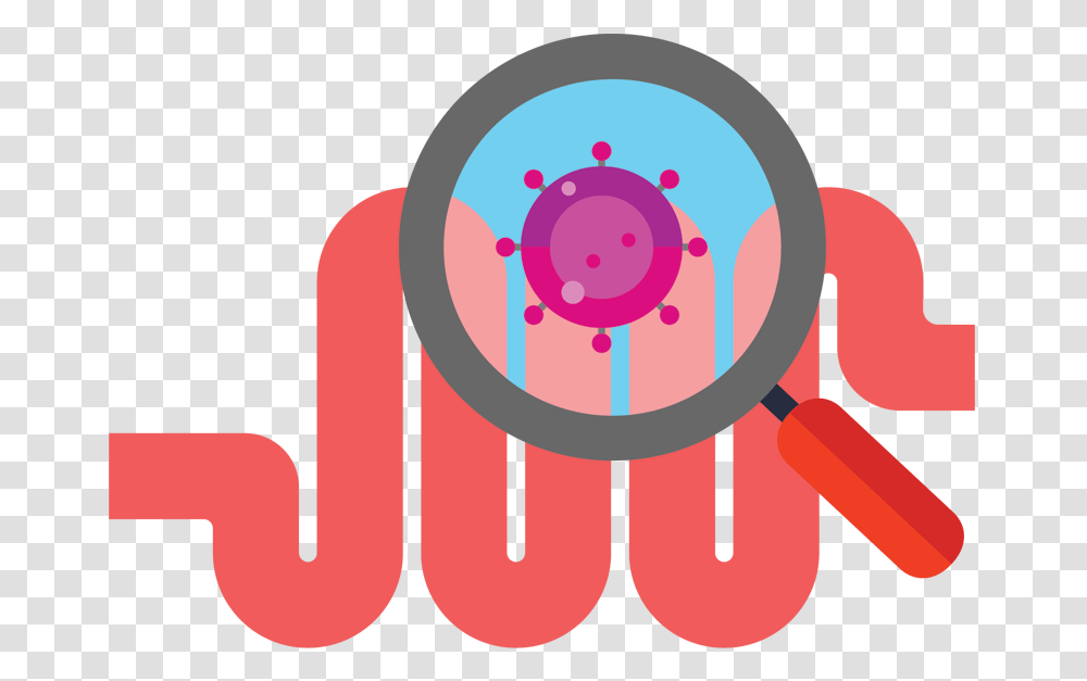 Magnifying Glass Looking At Gut Gut Microbiome Transparent Png