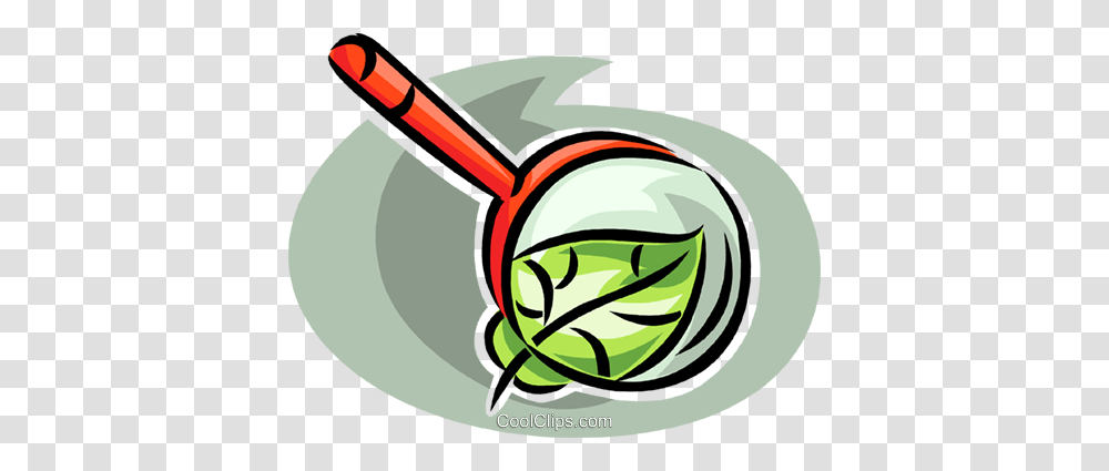 Magnifying Glass Looking, Plant, Vegetable, Food Transparent Png
