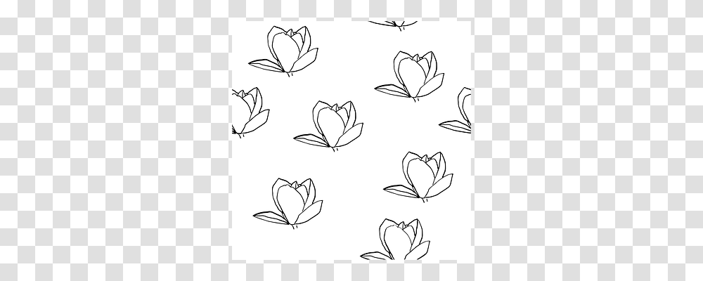 Magnolia Drawing, Sketch, Floral Design Transparent Png