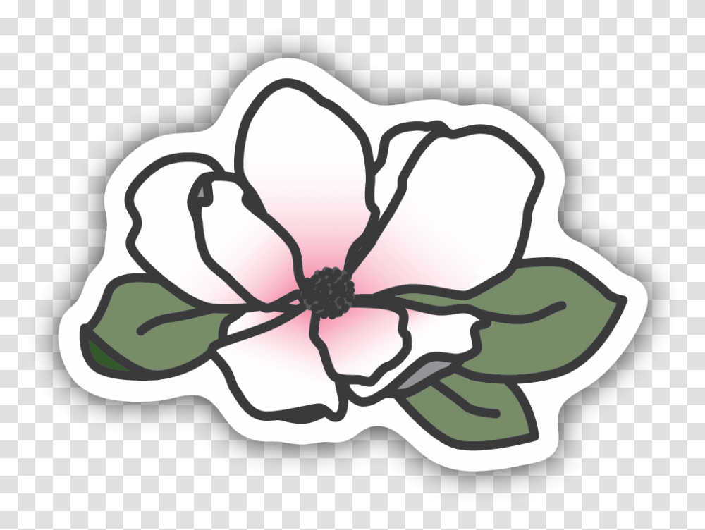 Magnolia Blossom Sticker, Pillow, Cushion, Plant, Flower Transparent Png