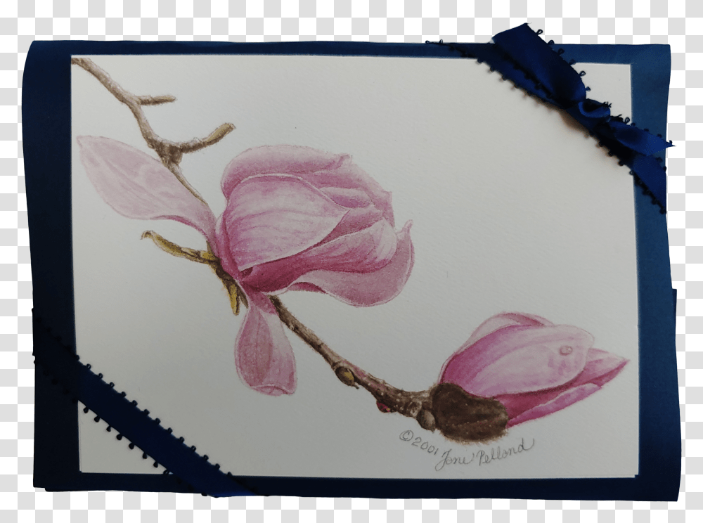 Magnolia Campbellii Notecards Picture Frame Transparent Png