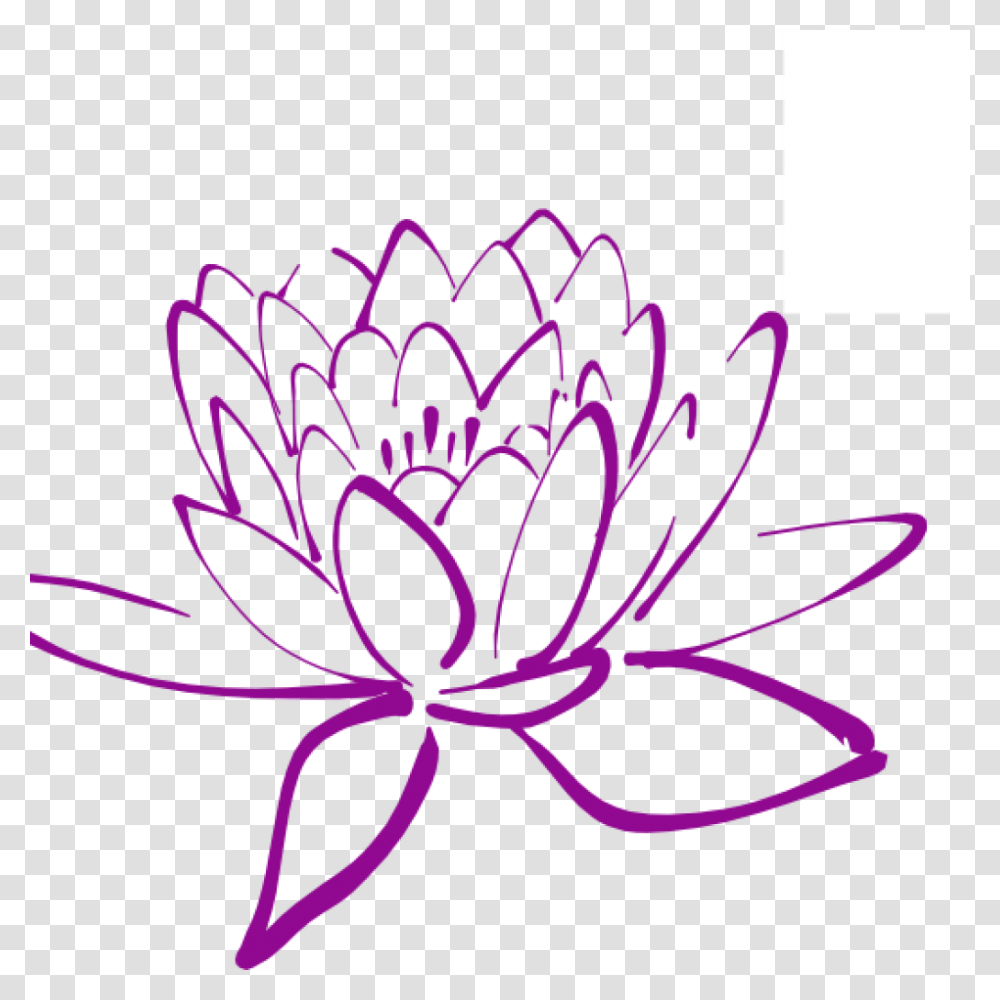 Magnolia Clipart Magnolia Flower Lotus Flower Drawing, Pattern, Floral Design, Plant Transparent Png