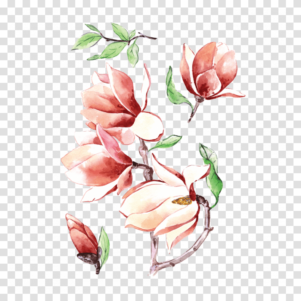 Magnolia Coloured Tattoo Flower, Plant, Blossom, Petal, Floral Design Transparent Png