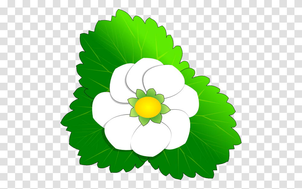 Magnolia Flower Clip Art, Green, Plant, Floral Design Transparent Png