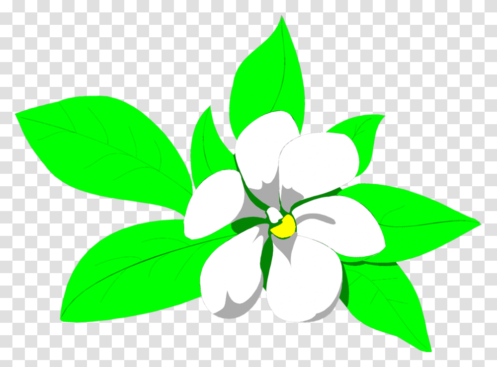 Magnolia Flower Clip Art, Green, Leaf, Plant, Blossom Transparent Png