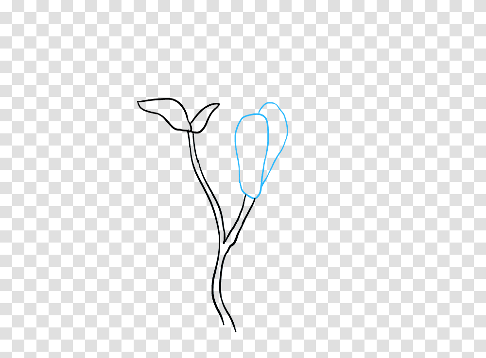 Magnolia Flower Drawing Easy, Kite, Toy, Insect, Invertebrate Transparent Png