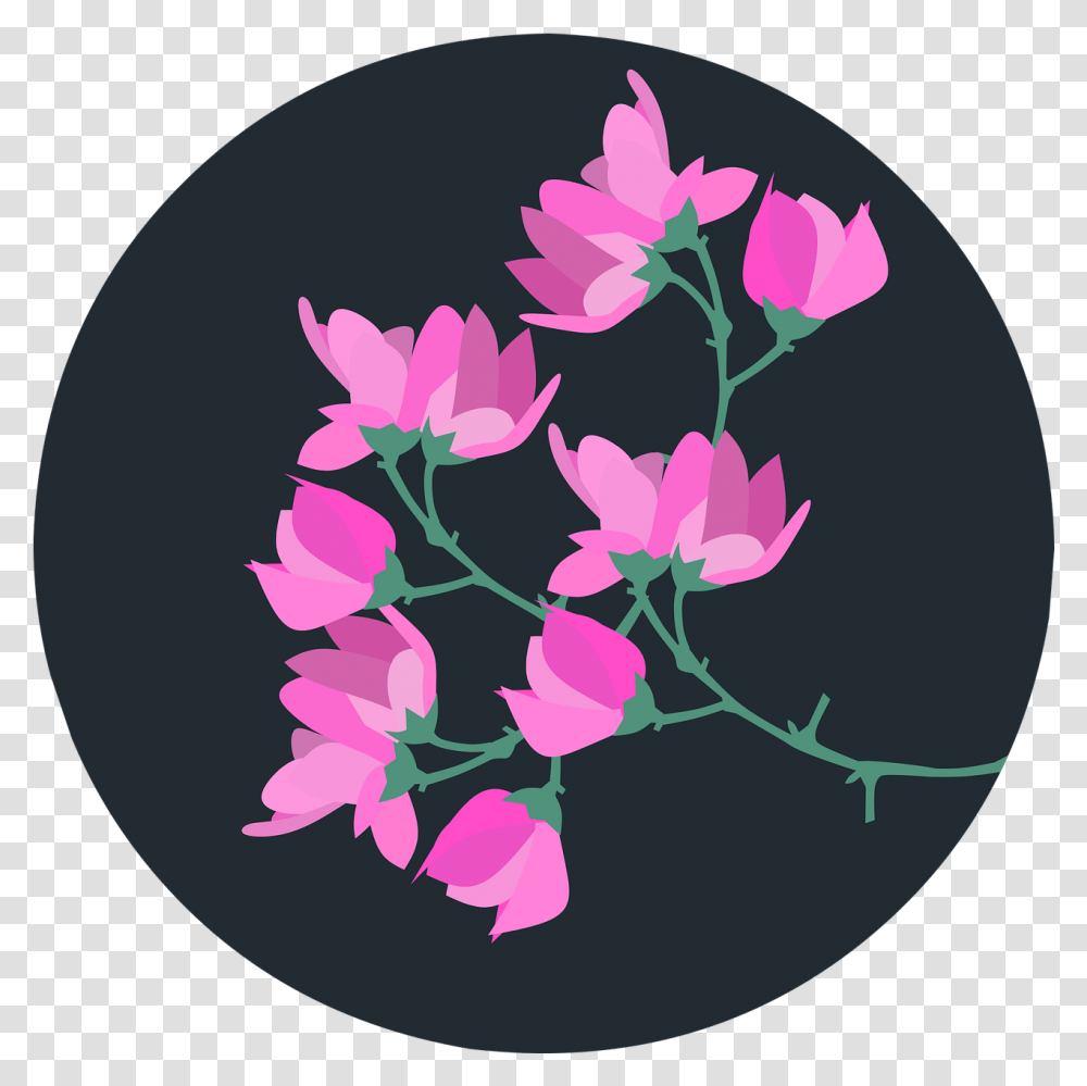 Magnolia Flower Spring Flor Magnolia En, Graphics, Art, Floral Design, Pattern Transparent Png