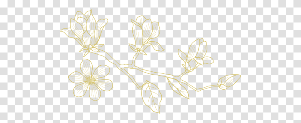 Magnolia Gold Alexandra Meseke Photography Rochester Ny Twig, Plant, Pattern, Rug, Grain Transparent Png