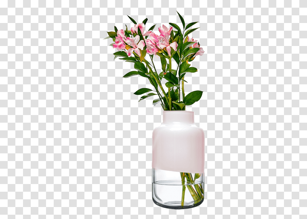 Magnolia Vase Mm Stargazer Lily, Plant, Jar, Potted Plant, Pottery Transparent Png