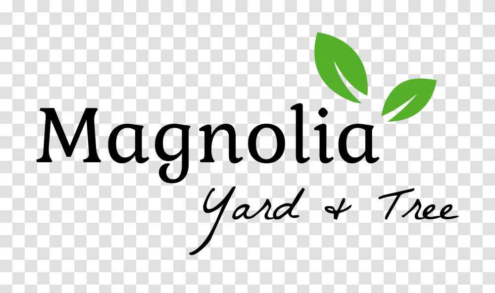 Magnolia Yard Trees Planting Beauty Cultivating Luxury, Outdoors, Nature, Gecko, Animal Transparent Png