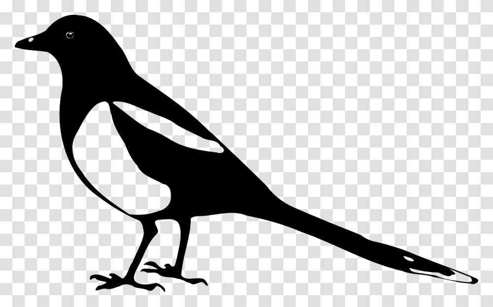 Magpie Animal Bird Crow Nature Silhouette Stencil Magpie Clip Art, Hammer, Tool, Vulture, Blackbird Transparent Png