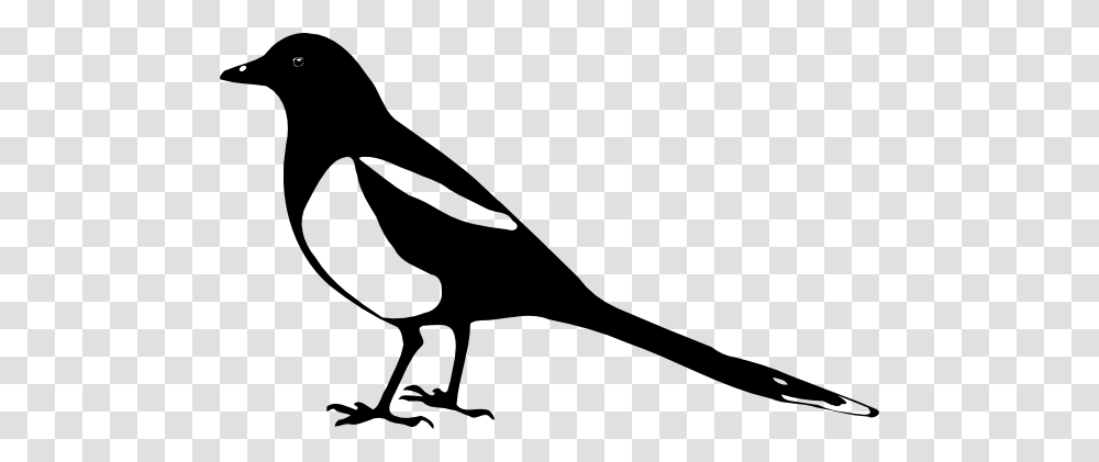 Magpie Clipart Cartoon, Bird, Animal, Stencil, Vulture Transparent Png