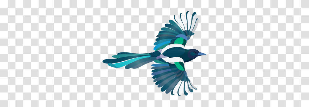 Magpie Clipart, Jay, Bird, Animal, Blue Jay Transparent Png