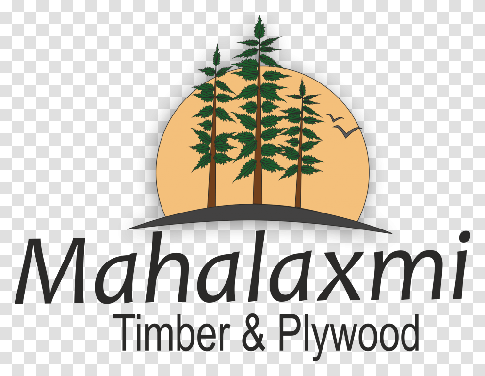 Mahalaxmi Timber And Plywood Red Pine, Lamp, Leaf, Plant Transparent Png