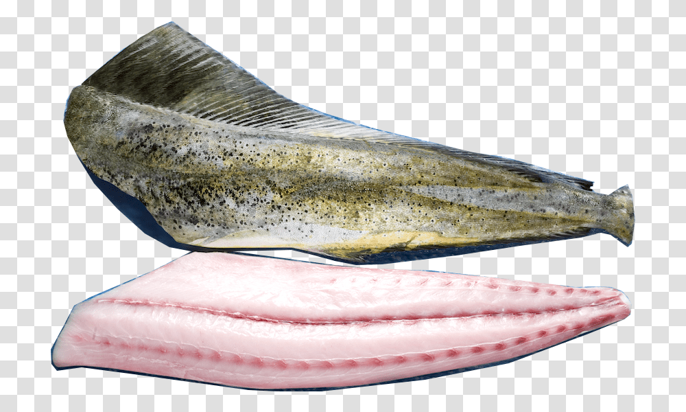 Mahi Mahi FilletData Rimg LazyData Rimg Scale, Animal, Food, Sea Life, Fish Transparent Png