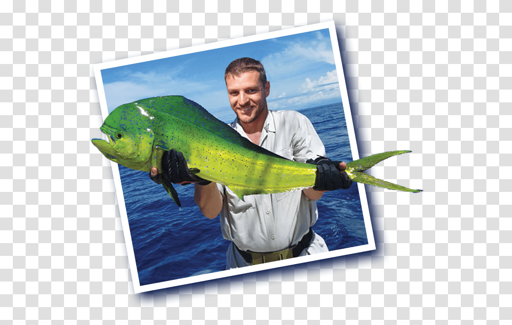 Mahi Mahi Fisherman, Person, Human, Animal, Outdoors Transparent Png