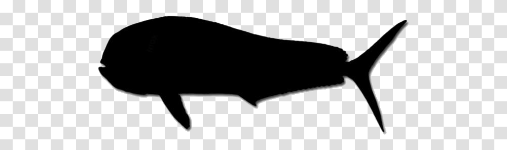 Mahi Mahi Images Whale, Sunglasses, Silhouette, Animal, Mammal Transparent Png