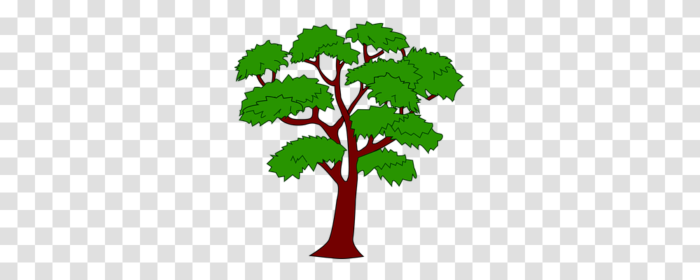 Mahogany Nature, Tree, Plant, Palm Tree Transparent Png