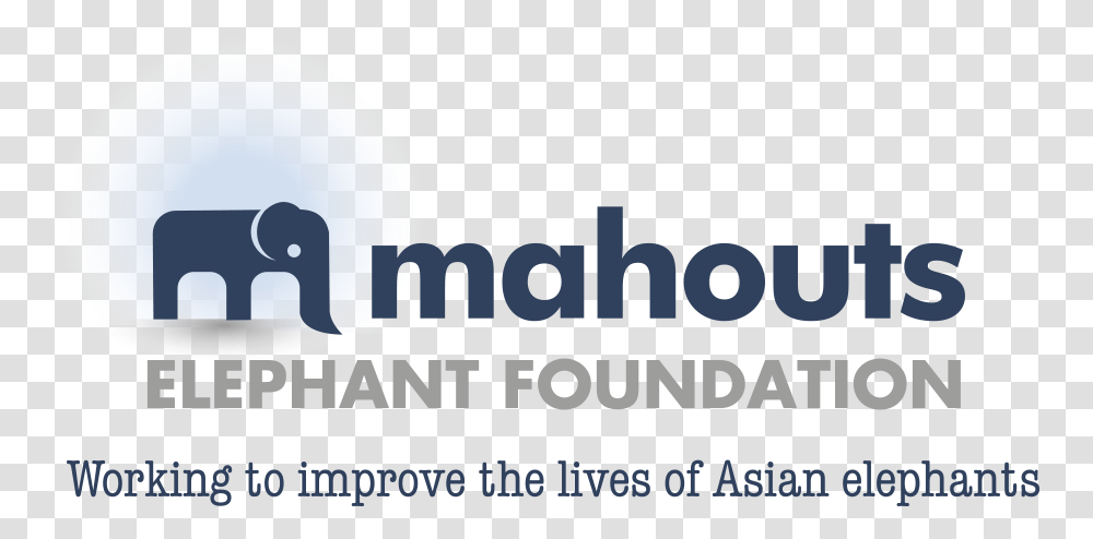 Mahouts Elephant Foundation Asian Elephant, Text, Face, Logo, Symbol Transparent Png