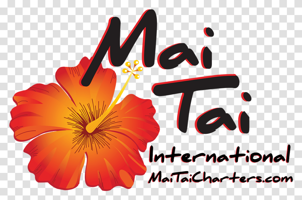 Mai, Plant, Hibiscus, Flower, Blossom Transparent Png