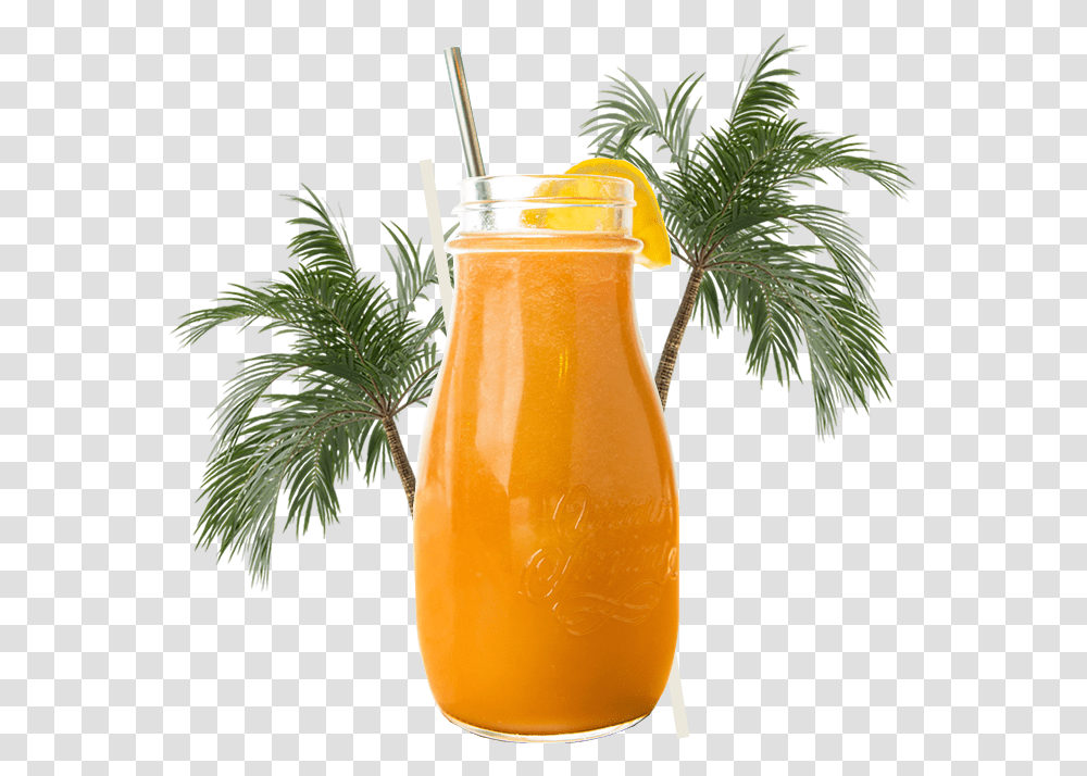 Mai Tai, Juice, Beverage, Orange Juice, Green Transparent Png