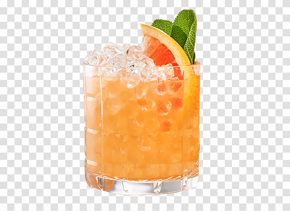 Mai Tai, Plant, Beverage, Grapefruit, Citrus Fruit Transparent Png